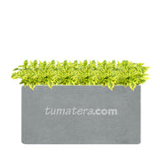 COMBO JARDINERA CEMENTO LISA 100 X 40 CM CON DURANTAS- Tumatera.co