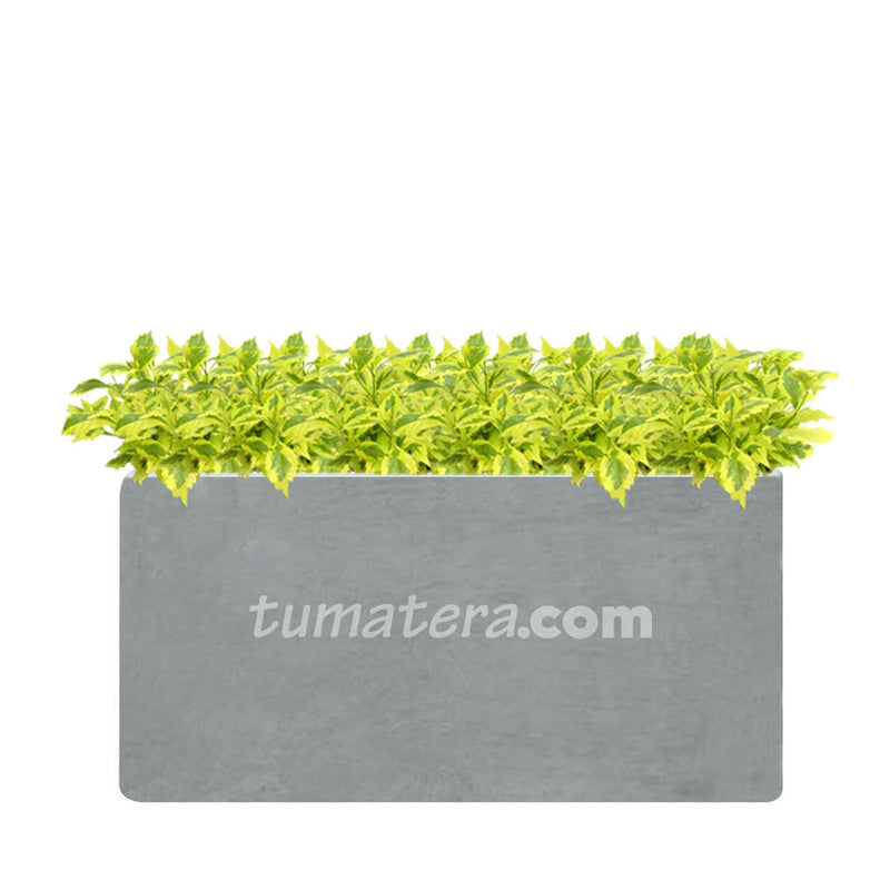 COMBO JARDINERA CEMENTO LISA 100 X 40 CM CON DURANTAS- Tumatera.co
