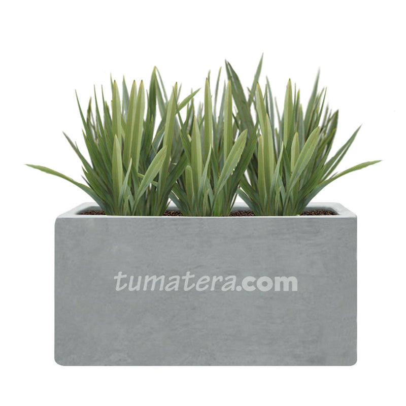 COMBO JARDINERA CEMENTO LISA 100 X 40 CM CON LINOS- Tumatera.co