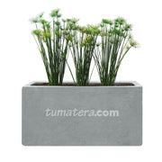 COMBO JARDINERA CEMENTO LISA 100 X 40 CM CON PAPIROS- Tumatera.co