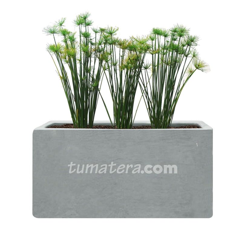 COMBO JARDINERA CEMENTO LISA 100 X 40 CM CON PAPIROS- Tumatera.co