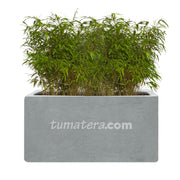 COMBO JARDINERA CEMENTO LISA 100 X 40 CM CON BAMBUS- Tumatera.co
