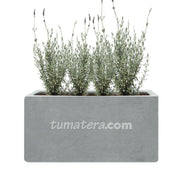 COMBO JARDINERA CEMENTO LISA 100 X 40 CM CON PLANTA LAVANDA- Tumatera.co