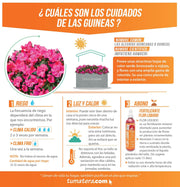 COMBO JARDINERA CEMENTO LISA 100 X 40 CM CON FLORES- Tumatera.co