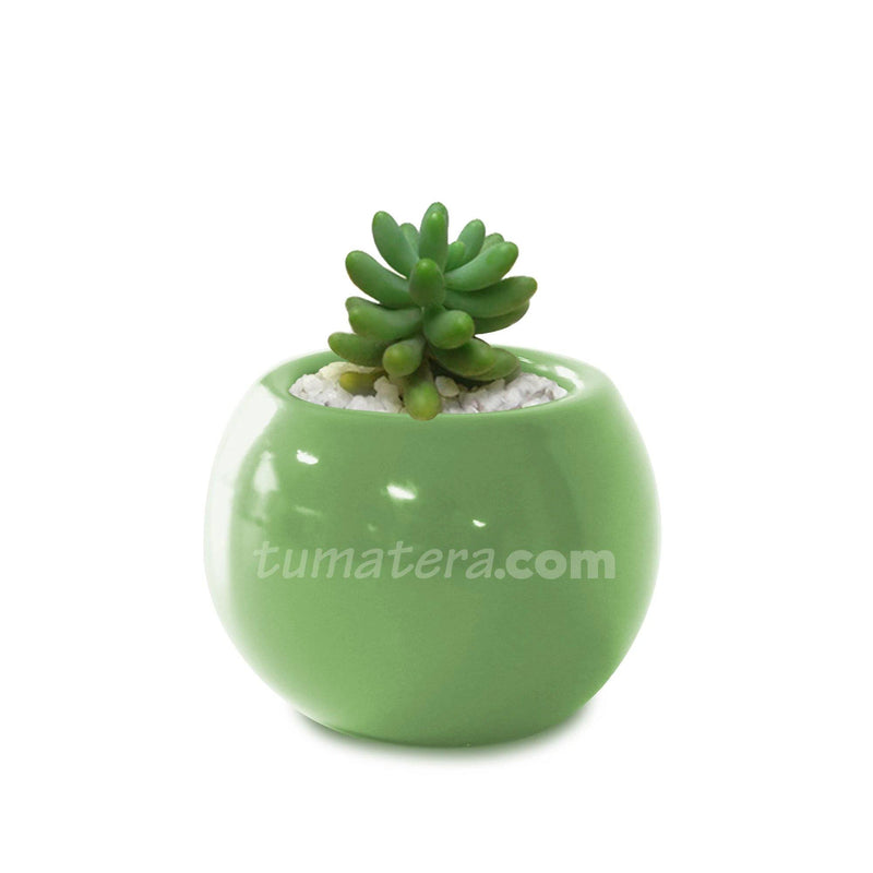COMBO MATERA CERÁMICA 4 CM SUCULENTA BANANITOS MINI- Tumatera.co