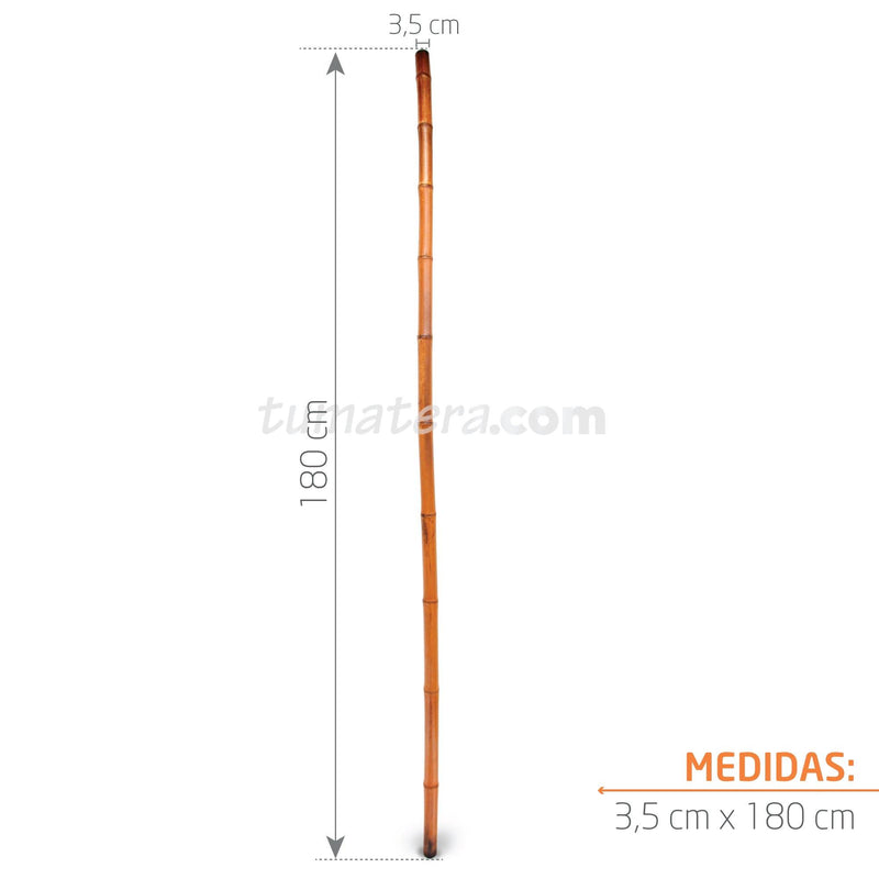 TUTOR DE BAMBÚ GRUESO 180 CM - Tumatera.co