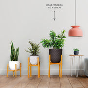 BASE MADERA 40 X 60 CM - Tumatera.co