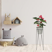 KIT MATERA TUBUS BETON 20 CM + BASE VERONA 20 X 70 CM - Tumatera.co