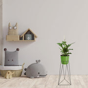 KIT MATERA COUBI ROUNDN 21 CM + BASE GENOVA 20 X 60 CM - Tumatera.co