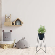 KIT MATERA FURU 20 CM + BASE GENOVA 20 X 70 CM - Tumatera.co