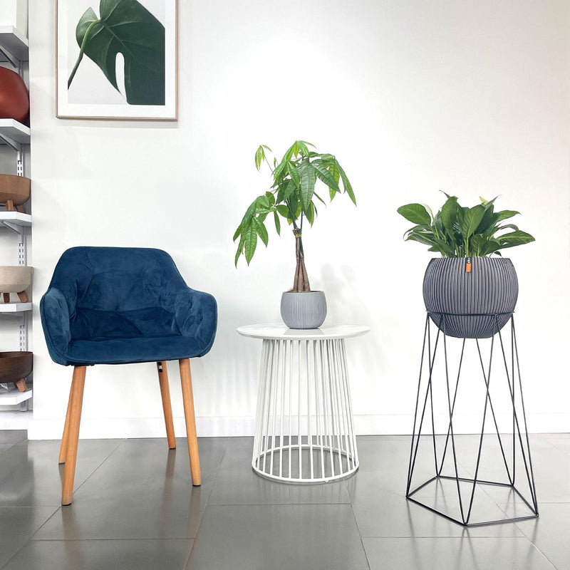 KIT MATERA BALL GROOVE 29 CM + BASE IMPERIA 27 X 60 CM - Tumatera.co