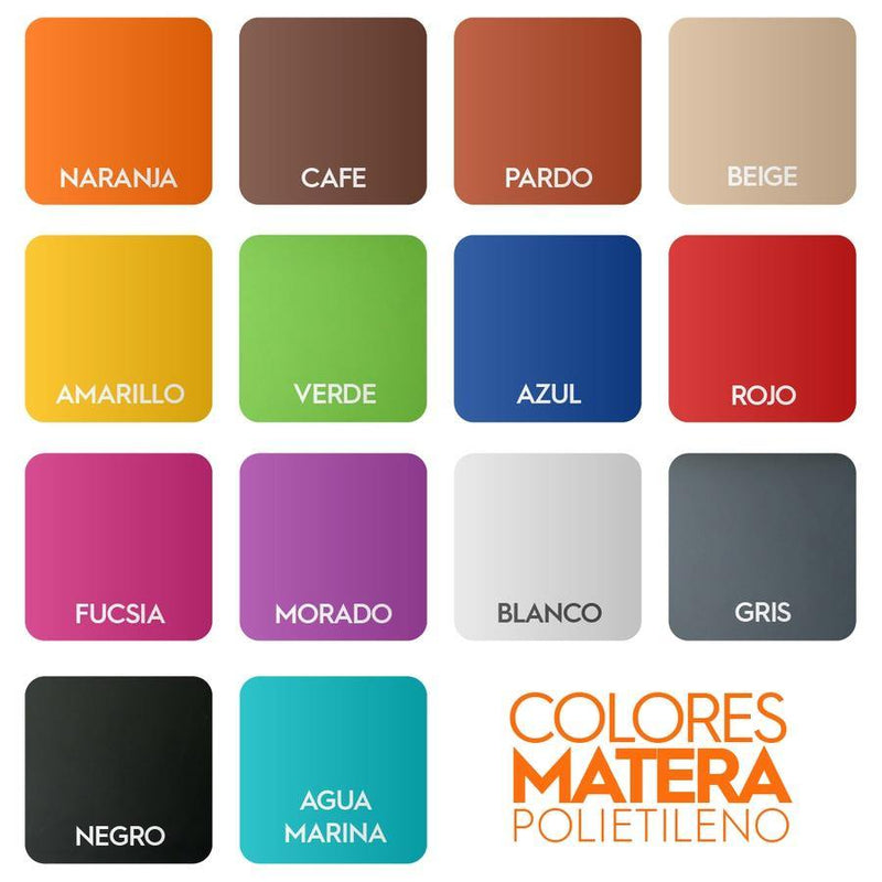 COMBO MP-3461L CON SANSEVIERA - Tumatera.co