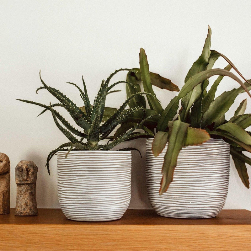 MATERA CONIC ROUND RIB 17 CM - Tumatera.co