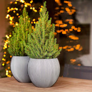 MATERA VASE GROOVE 22 CM - Tumatera.co