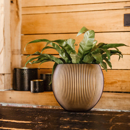 MATERA VASE GROOVE GOLD 29 CM - Tumatera.co