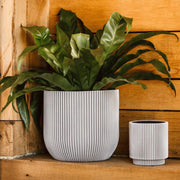 MATERA CONIC ROUND GROOVE 17 CM - Tumatera.co