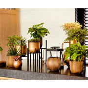 MATERA BALL GROOVE GOLD 15 CM - Tumatera.co