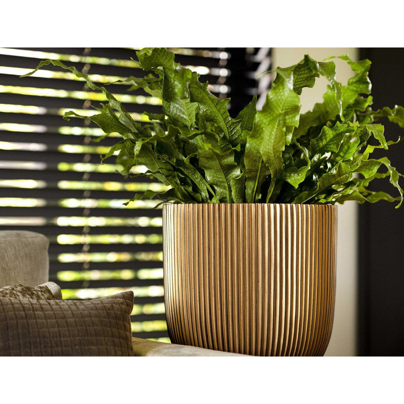 MATERA BALL GROOVE GOLD 23 CM - Tumatera.co
