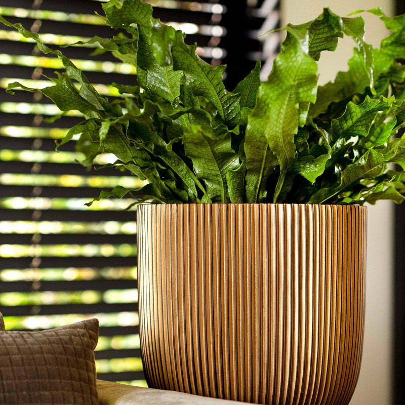 MATERA BALL GROOVE GOLD 42 CM - Tumatera.co
