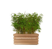 COMBO JARDINERA 70 CM CON BAMBUS - Tumatera.co