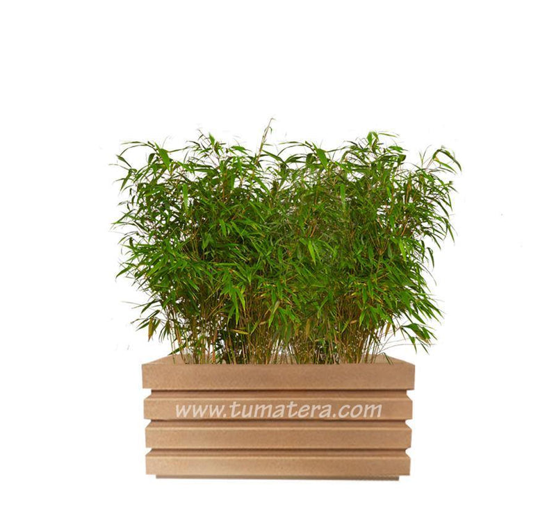 COMBO JARDINERA 70 CM CON BAMBUS - Tumatera.co