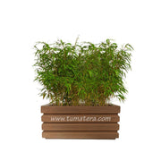 COMBO JARDINERA 70 CM CON BAMBUS - Tumatera.co