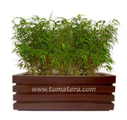 COMBO JARDINERA 100 X 45 CM CON BAMBUS - Tumatera.co