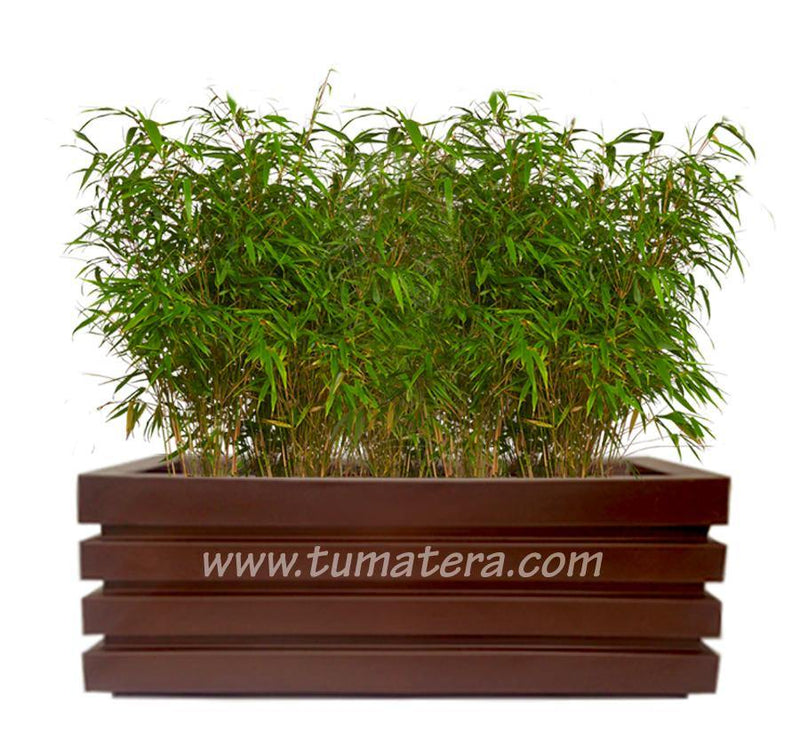 COMBO JARDINERA 100 X 45 CM CON BAMBUS - Tumatera.co
