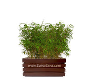 COMBO JARDINERA 70 CM CON BAMBUS - Tumatera.co