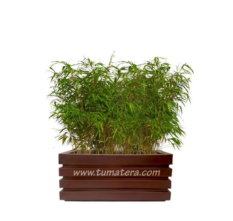 COMBO JARDINERA 70 CM CON BAMBUS - Tumatera.co