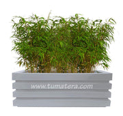 COMBO JARDINERA 100 X 45 CM CON BAMBUS - Tumatera.co