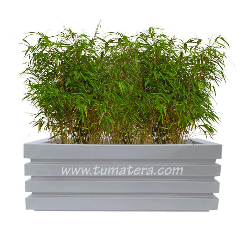 COMBO JARDINERA 100 X 45 CM CON BAMBUS - Tumatera.co