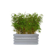 COMBO JARDINERA 70 CM CON BAMBUS - Tumatera.co