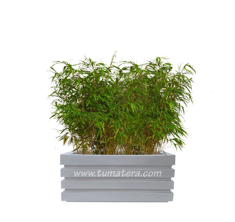 COMBO JARDINERA 70 CM CON BAMBUS - Tumatera.co