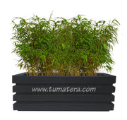COMBO JARDINERA 100 X 45 CM CON BAMBUS - Tumatera.co