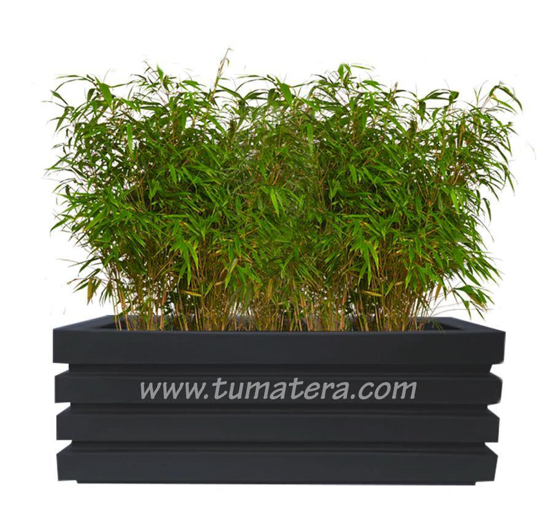 COMBO JARDINERA 100 X 45 CM CON BAMBUS - Tumatera.co