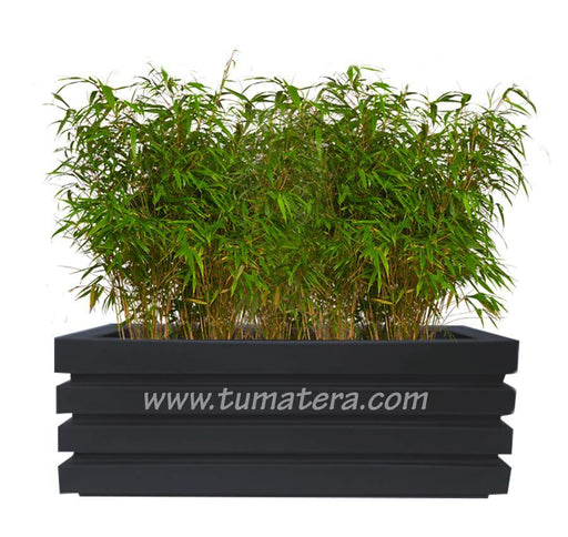 COMBO JARDINERA 100 X 45 CM CON BAMBUS - Tumatera.co