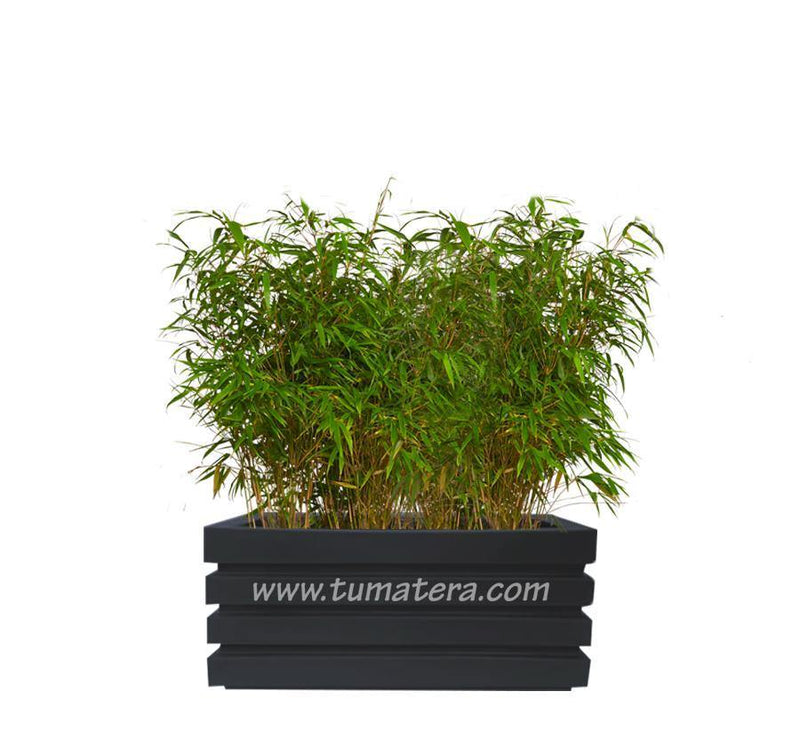 COMBO JARDINERA 70 CM CON BAMBUS - Tumatera.co