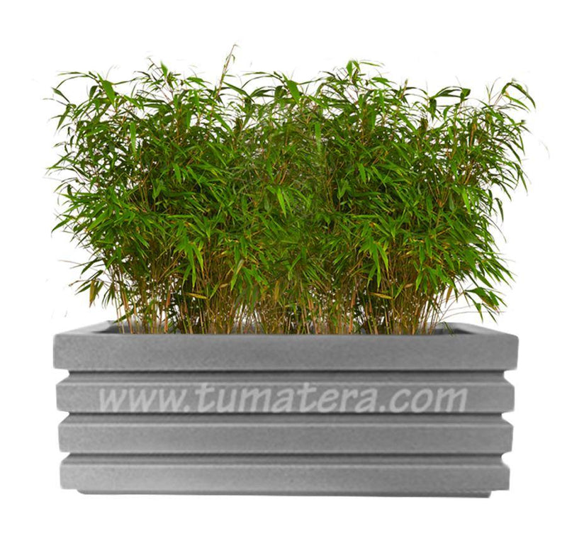 COMBO JARDINERA 100 X 45 CM CON BAMBUS - Tumatera.co