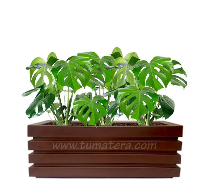 COMBO JARDINERA 100 X 45 CM CON BALAZO - Tumatera.co