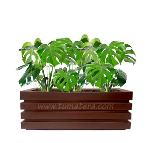 COMBO JARDINERA 100 X 45 CM CON BALAZO - Tumatera.co