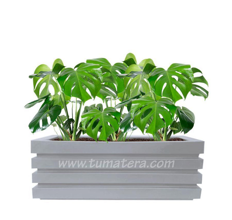 COMBO JARDINERA 100 X 45 CM CON BALAZO - Tumatera.co