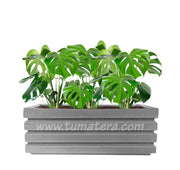 COMBO JARDINERA 100 X 45 CM CON BALAZO - Tumatera.co