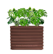 COMBO JARDINERA 100 X 60 CM CON BALAZO - Tumatera.co