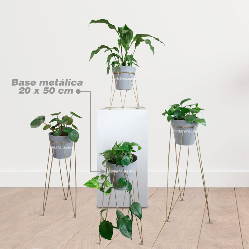 KIT MATERA CUBE BETON + BASE 20 X 50 CM - Tumatera.co