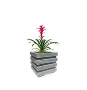 COMBO CUBO 48 CM CON BROMELIA - Tumatera.co