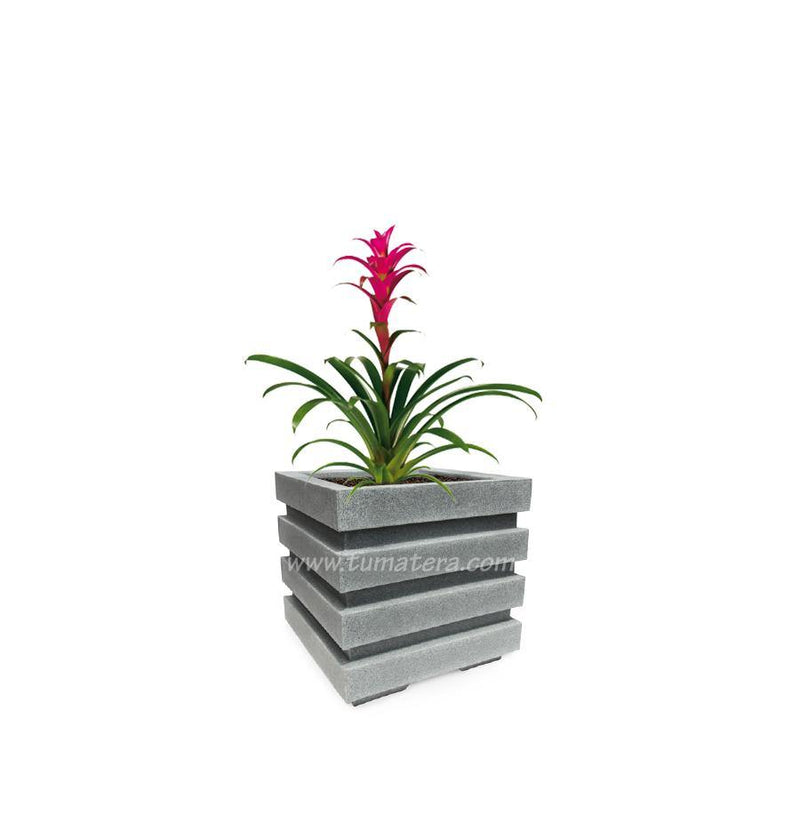 COMBO CUBO 48 CM CON BROMELIA - Tumatera.co