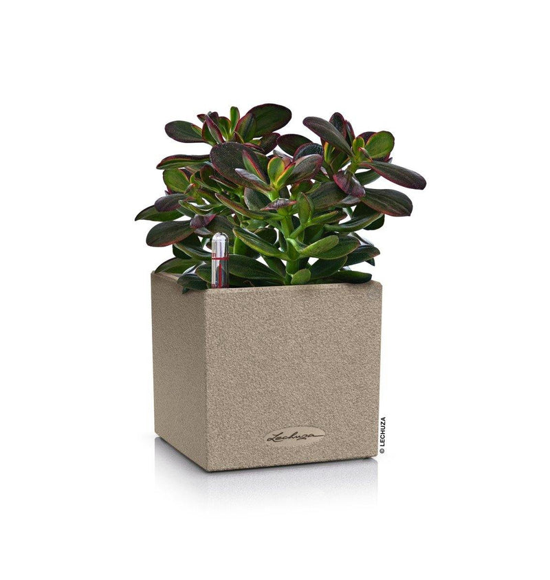 MATERA INTELIGENTE AUTORREGANTE CANTO 14 CM - Tumatera.co