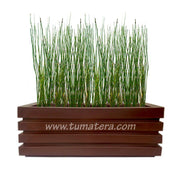 COMBO JARDINERA 100 X 45 CM CON EQUISETUM - Tumatera.co