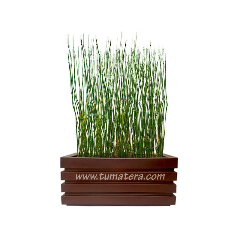 COMBO JARDINERA 70 CM CON EQUISETUM - Tumatera.co